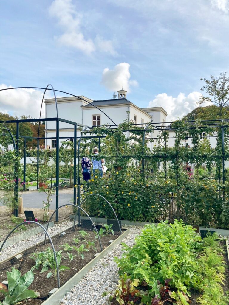 Ockenburgh Estate sustainability efforts