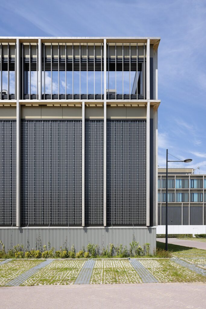 Wooden grid facade with climbing plants