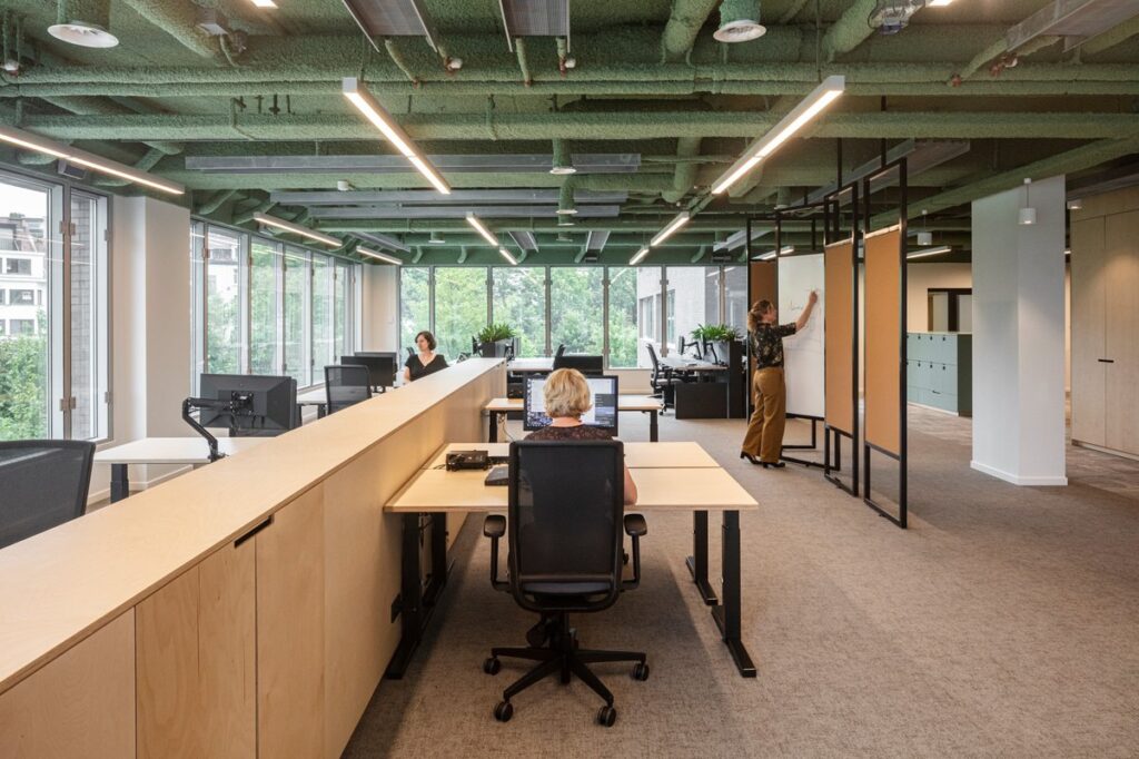 Reception area with plywood cladding and glass openings