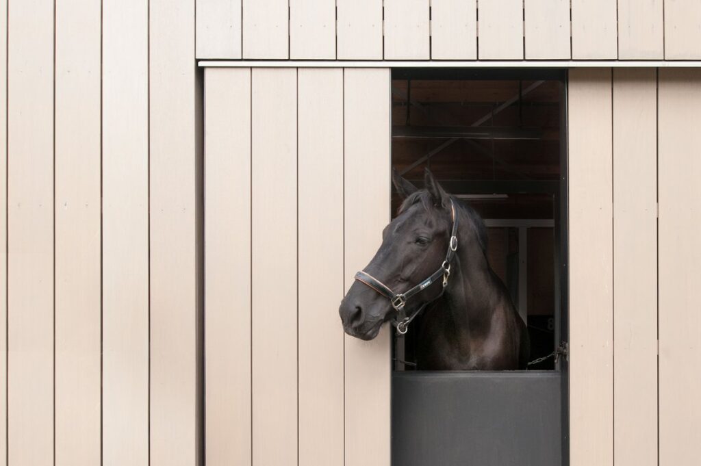 New stable with wooden facade
